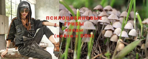 амф Алзамай
