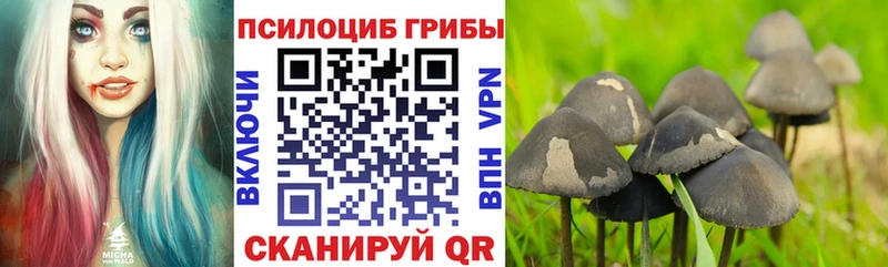 Галлюциногенные грибы Psilocybe  Лосино-Петровский 