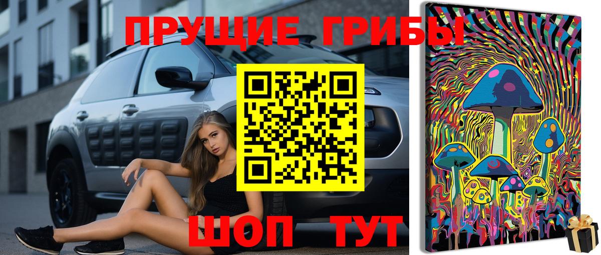 Лосино-Петровский  Псилоцибиновые грибы прущие грибы  Вход с VPN 