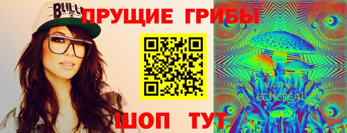 Псилоцибиновые грибы GOLDEN TEACHER Лосино-Петровский